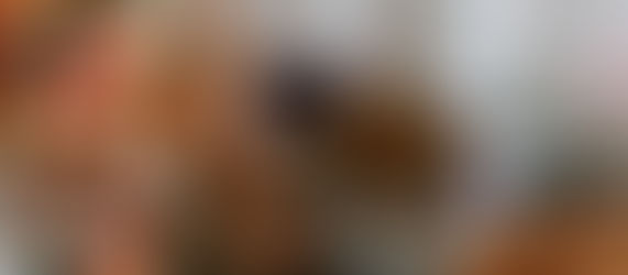 A humble Christmas! Advent 2020 Day 8