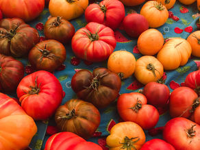 7 Unique Heirloom Seed Companies To Know When Planting Tomatoes 