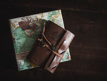 Traveling With Pets