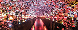 Flower Trees