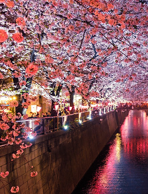 Image by Sora Sagano