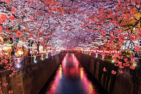 Image by Sora Sagano