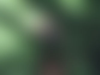 Les sentiers de randonnée de Maurice: aventure et nature en symbiose