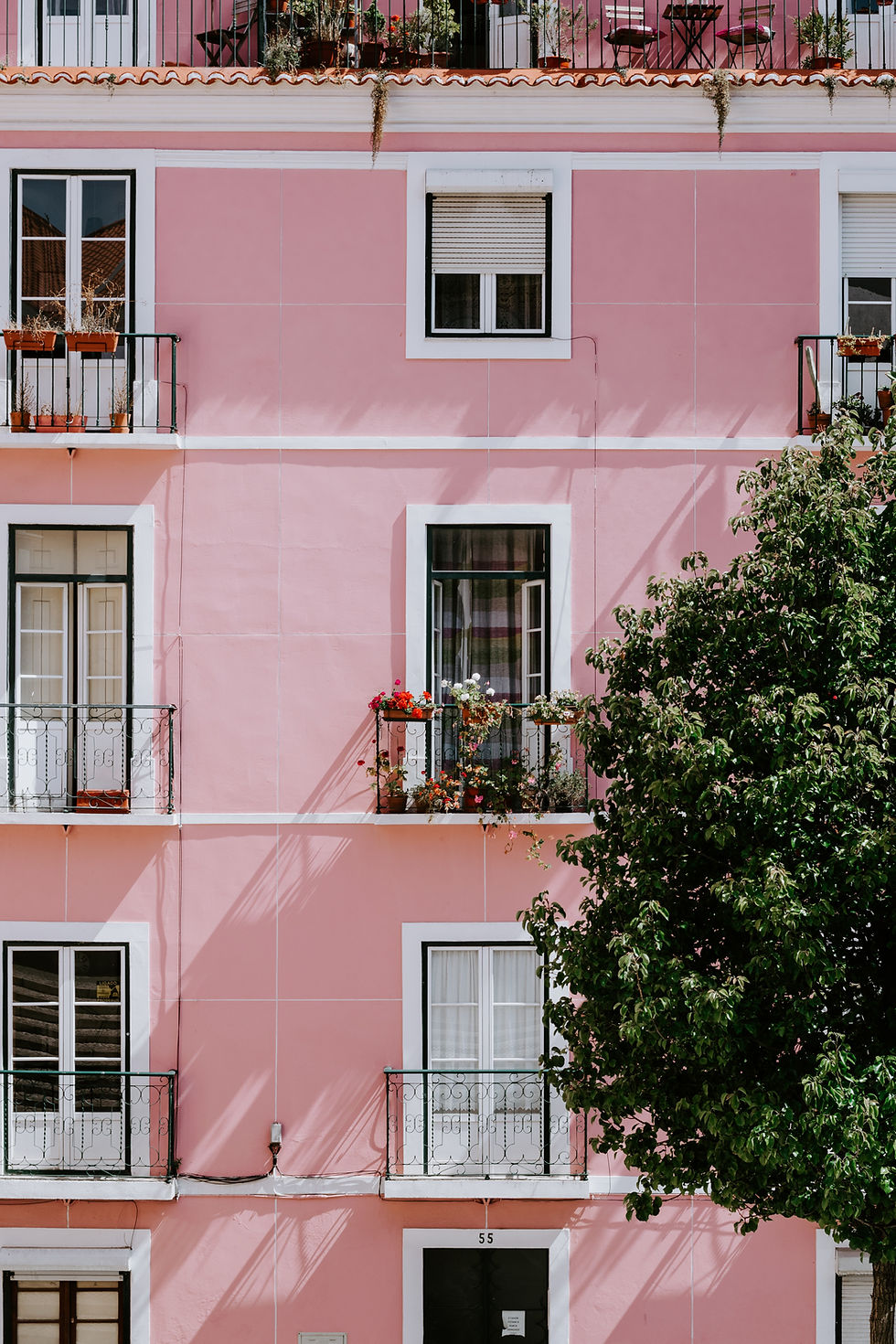 Image by Jessica Arends