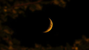 Flash Fiction: Banana Moon