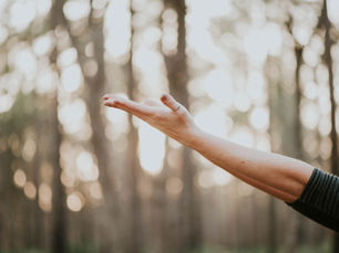 Chateau's Six Dimensions of Wellness