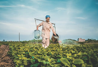 Image by Hưng Nguyễn Việt