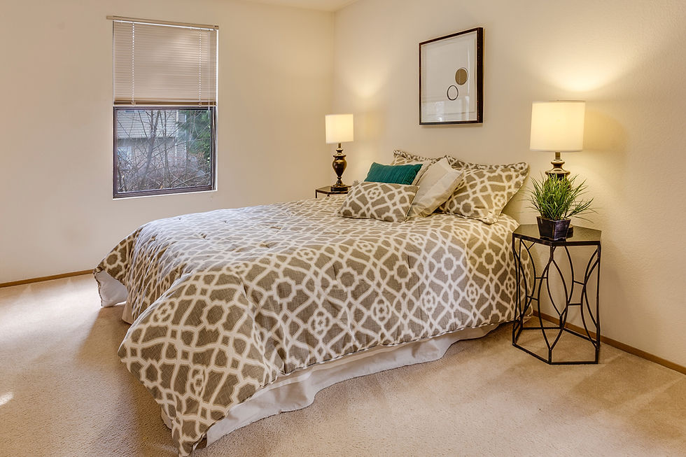 Carpet Cleaning Benefits