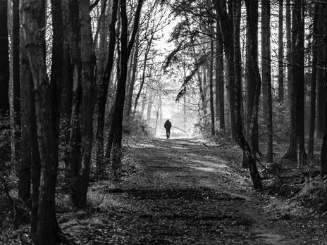 Let Not Your Heart Be Troubled