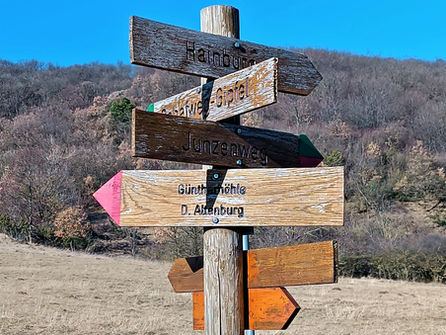 Colorful wooden signpost with arrows pointing in different directions, symbolizing choices, discernment, and direction during times of crisis.