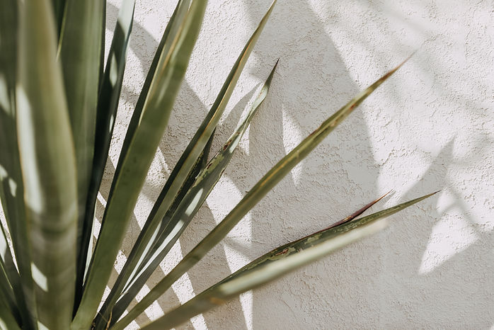 Image by Elizabeth Pishal