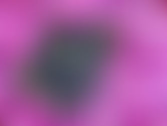 Ramadan 2.0: Spiritual Reflection in an Age of Overconsumption