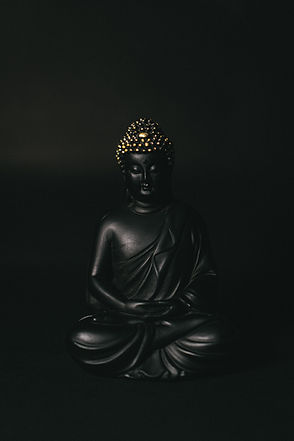 Image by Arun Prakash