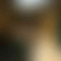 zanzibar guide francophone