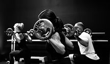 Image by Sven Mieke