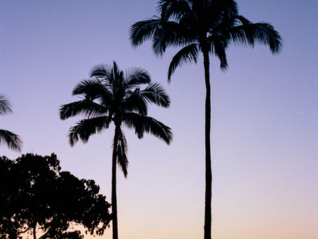 ハワイ大学NICEプログラムで英語を学ぶ！