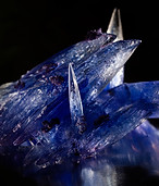 Image by Jason D