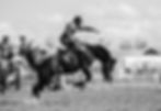 rodeo