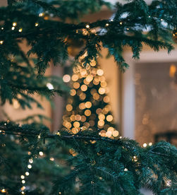 The Cozy Christmas Checklist: Transforming Your Home into a Festive Retreat