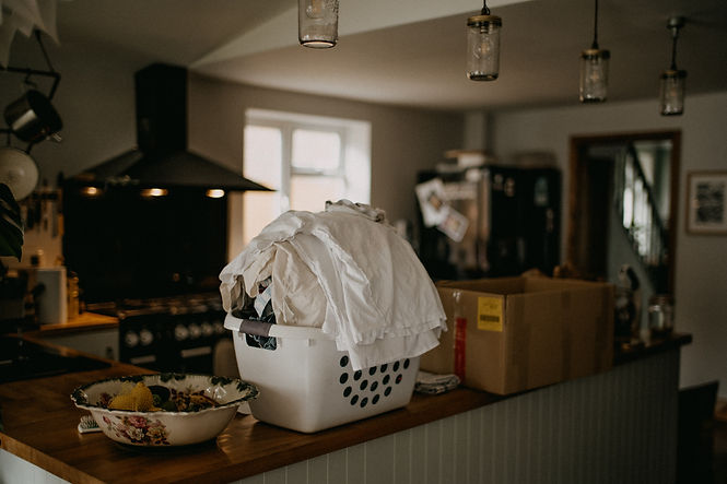 Image by Annie Spratt