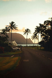 Image by GRAHAM MANSFIELD