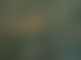 "Jane Eyre" von Charlotte Bronte