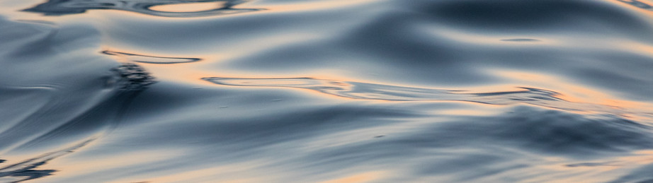 Image de Jason Leung