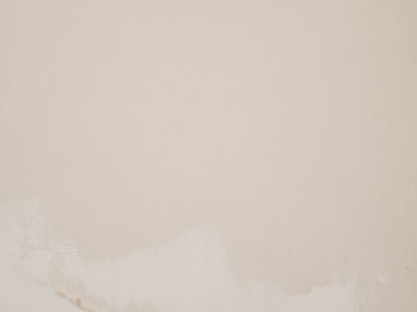 Image by Annie Spratt