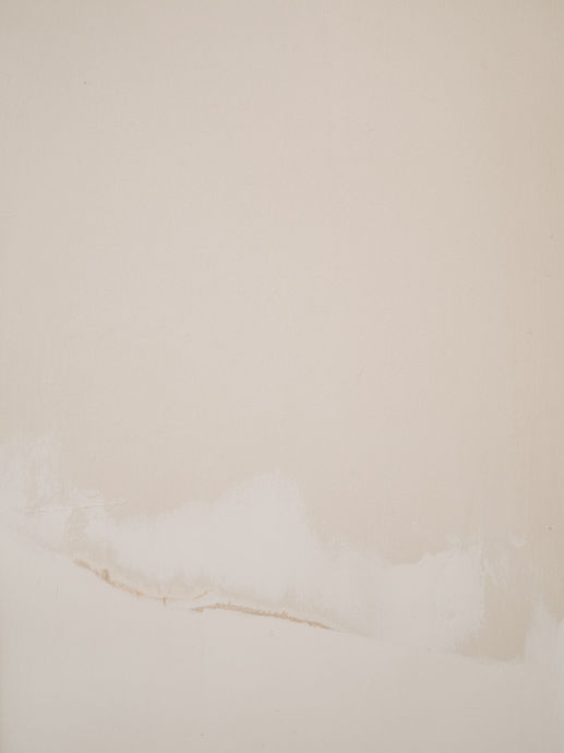 Image by Annie Spratt