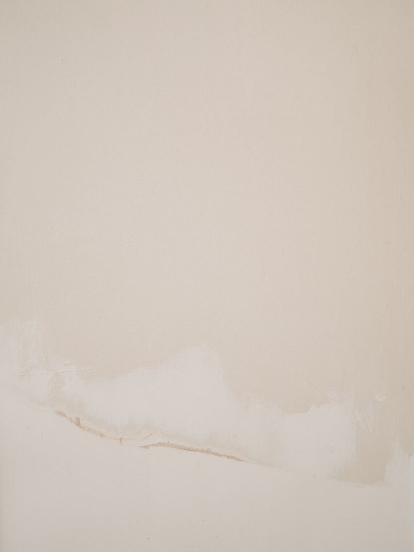 Image by Annie Spratt