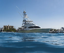 Image by Chase Baker