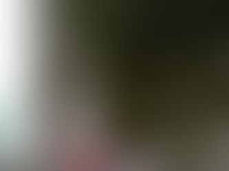 The #1 Mom At-Home Money-Making Secret