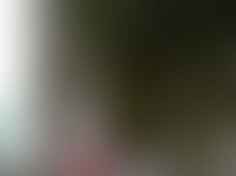 The #1 Mom At-Home Money-Making Secret