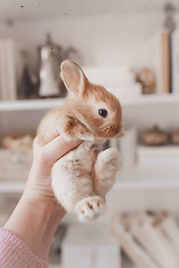 Cruelty Free Private Label Sunscreen Australia