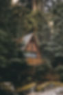 Image by David Kovalenko