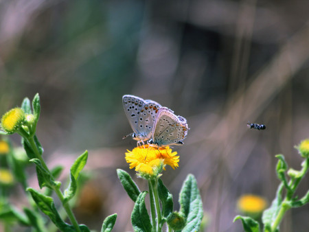 Image by Şahin Sezer Dinçer