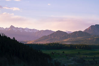 Image by Reymark Franke