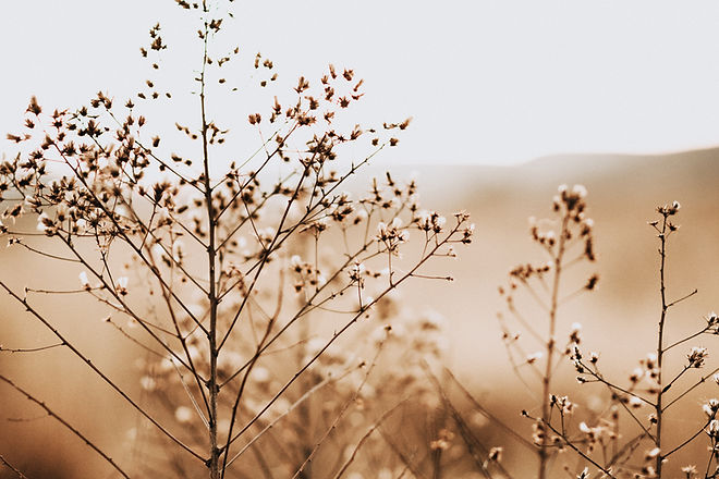 Image by BRUNO EMMANUELLE