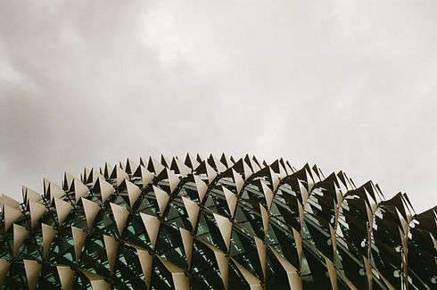 Image by Timothy Newman