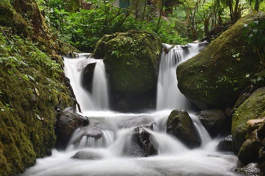 Image by Aliko Sunawang