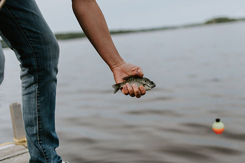 Image by Kelly Sikkema
