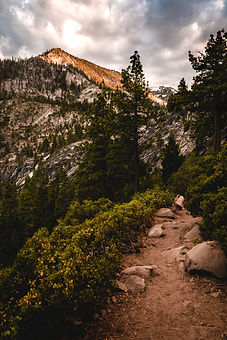 Image by Alec Krum