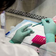 Drug & Alcohol Testing