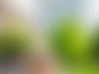 Neuroinflammation: When the Brain’s Immune Response Runs Long