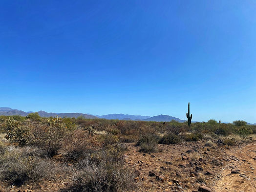 Image by Jason Bahamundi