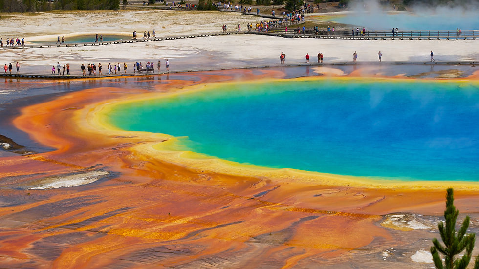 Tourists walk boardwalks around a steaming rainbow-colored hot spring with blue center and orange mineral edges in a forested park