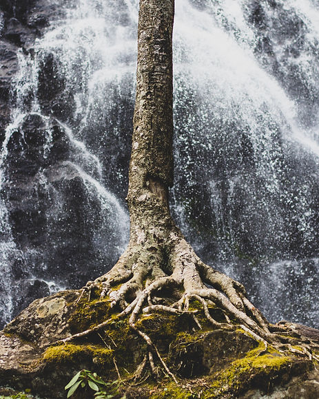 Image by Zach Reiner