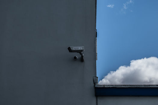 Image by Will Westwood