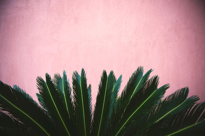 Image by Tim Mossholder