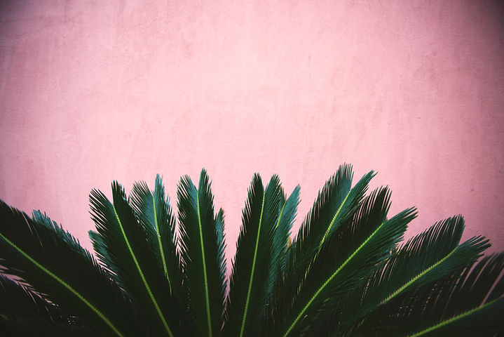 Image by Tim Mossholder